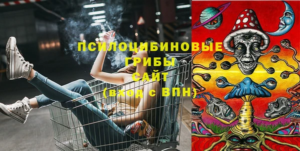 прущие крисы Беломорск