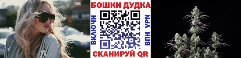 как найти наркотики Балей Конопля конопля